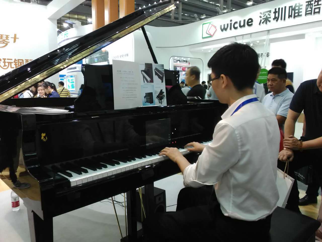 我是音乐家，偷偷告诉你琴盖上有提示！